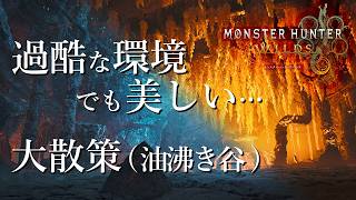【#MHWilds】アプデ終了してから始まるフィールド大散策(油沸き谷編)