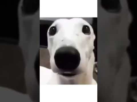 Instagram reel trends best video ! Infinity 🥶😶‍🌫️ #shorts #rajatp_here