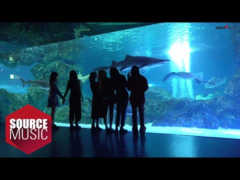 スペシャルクリップ】교차로(クロスロード) M/V シューティングビハインド - GFRIEND(여자친구) ([Special Clips] 교차로 (Crossroads) M/V Shooting Behind - GFRIEND (여자친구))