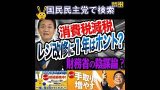 国民民主党 玉木雄一郎 レジ改修に１年かかるのか 4月19日
