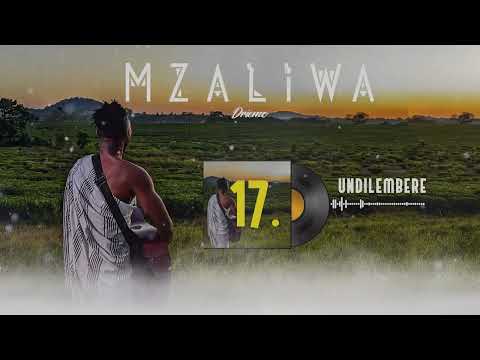 DRIEMO - UNDILEMBERE (Official audio visualizer)#Mzaliwa #malawi #afrobeat