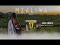 DRIEMO UNDILEMBERE Official Audio Visualizer Mzaliwa Malawi Afrobeat