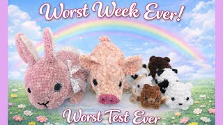 My Crazy Crazy Week!