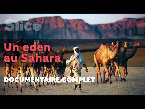 Un Eden au Sahara | SLICE | DOC COMPLET