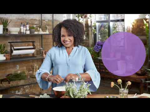 HSN | Carol's Daughter Beauty 10th Anniversary 06.03.2018 - 07 AM