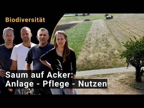 , title : 'Saum auf Ackerland: Anlage, Pflege und Nutzen für die Biodiversität'