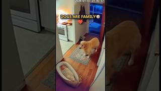 Download lagu Forever by My Side🐶 mp3