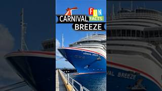I Wish I Knew This Before I Cruised on Carnival Breeze. #holiday #cruise #travel