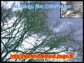 Old Telugu Malliswari Song Colorization YouTube