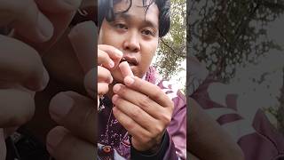 Download lagu 🔴 Umpan Mancing Paling Gacor Mantap Cocok// Sosis Ayam ❗❗❗ #SAHABATMANCING #AKBARFISHING29 mp3 Download lagu 🔴 Umpan Mancing Paling Gacor Mantap Cocok// Sosis Ayam ❗❗❗ #SAHABATMANCING #AKBARFISHING29 mp3