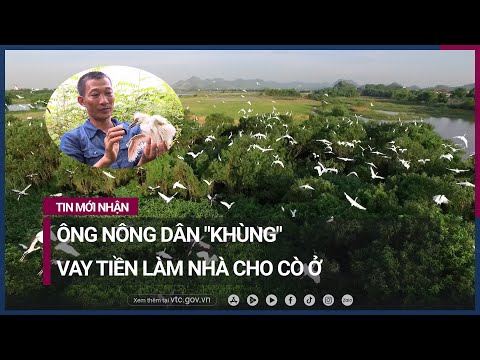 , title : 'Ông nông dân "khùng" vay tiền làm nhà cho cò ở | VTC Now'