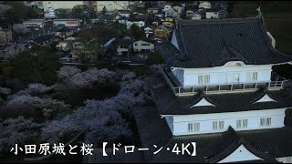 小田原城　空撮動画