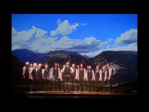 i can't help falling in love   Coro Valle dei Laghi   LIVE