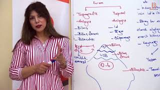 17)PDR/ Ruh Sağlığı İle İlgili Çağdaş Kuramlar - III - Ayşegül ALDEMİR