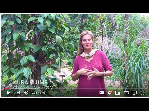 download lagu mp3 mp4 Queen Of Spices, download lagu Queen Of Spices gratis, unduh video klip Queen Of Spices