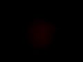 Opening To Teletubbies The Magic Pumpkin 2000 VHS