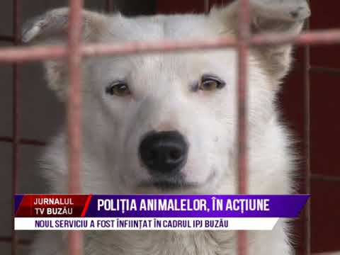 POLITIA ANIMALELOR, IN ACTIUNE