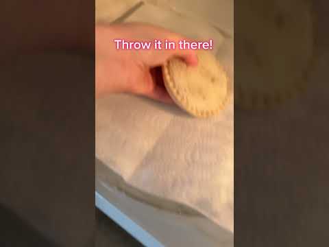 How to thaw your uncrustable || Usless but useful tips and tricks