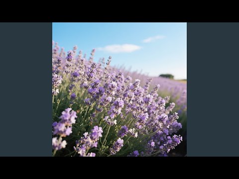 Wabopobo - Were Young And Loud - Misc Originals