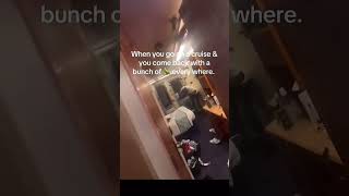 Birds on a CRUISE SHIP?!