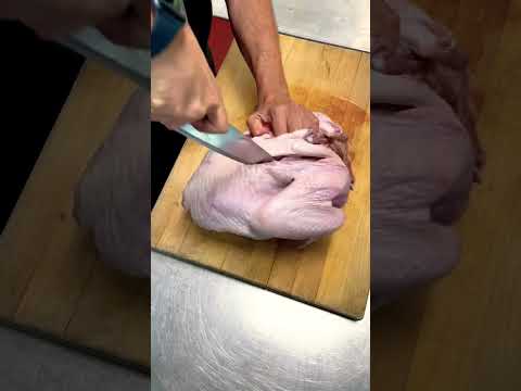 Chef Duce teaches you how to spatchcock a turkey! #thanksgivingprep #thanksgiving #turkey