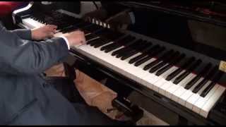 Autumn Leaves Piano by Antonality, Roger Williams version