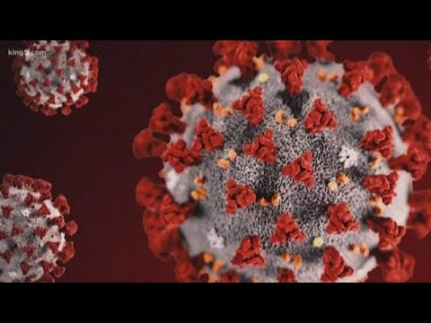 Coronavirus coverage: Monday, March 2 at 6:30 p.m.