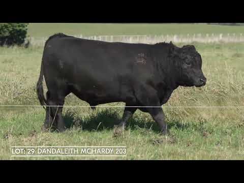 Lot 29 DANDALEITH MCHARDY 203