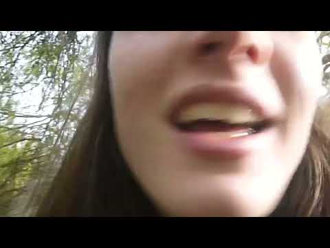 Sophia Stel - Object Permanence (Radio Edit) - Full Length Nature Walk - Official Visualizer