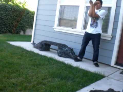 Aiko Kidd: Los Rakas-"Soy Raka"