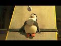 DreamWorks Madagascar Penguins Captured Penguins Of Madagascar Kids Movies