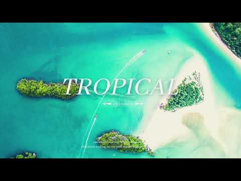 [FREE] Rema x Afro Rave - Type Beat - Tropical
