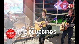 The Bluebirds - Famous Live @ Roodshow Late Night video