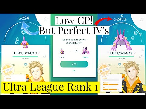 621Cp! But Perfect Iv Ultra League Rank 1 Shiny Swampert In Pokemon Go | Mudkip Community Day Grind