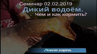 Ловля дикаря на водоеме