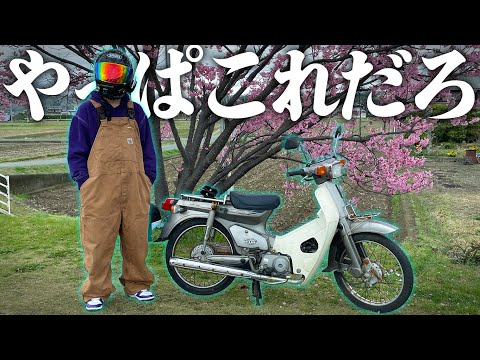 【日本の宝】スーパーカブ乗ってラーメン食って桜見るだけ