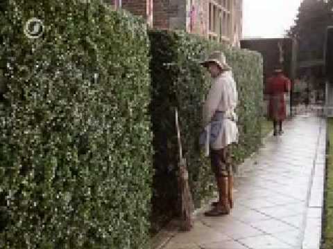 Dotterbart Heckenpisser