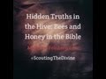 Hidden Truths in the Hive: Bees and Honey in the Bible