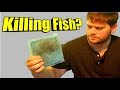 Replacing Filter Cartridge In Established Aquarium