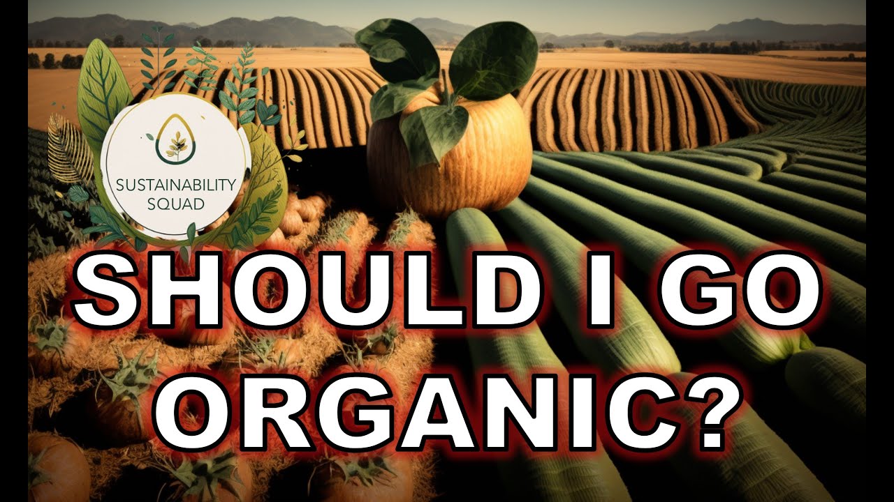 Sustainability: Organic vs Conventional Agriculture