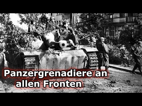 #11 Herzen aus Stahl / 3. Panzerdivision / Tagebuch eines Frontoffiziers - 2. WK