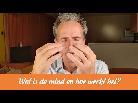 33 Wat is de mind en hoe werkt het?
