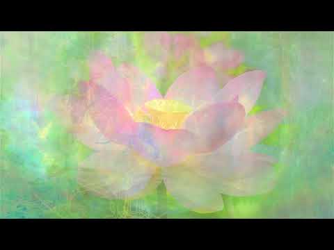 6 Hours of Extended Healing, Relaxing Meditation Music