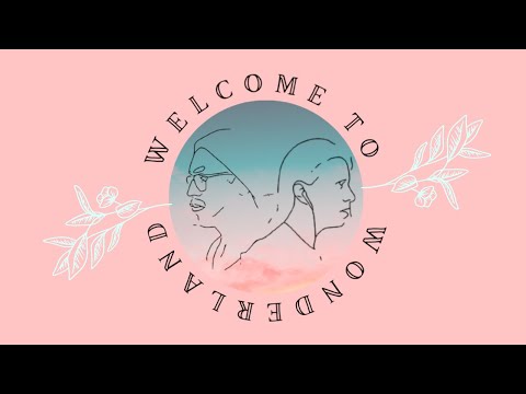 welcome to wonderland - anson seabra [duet cover]