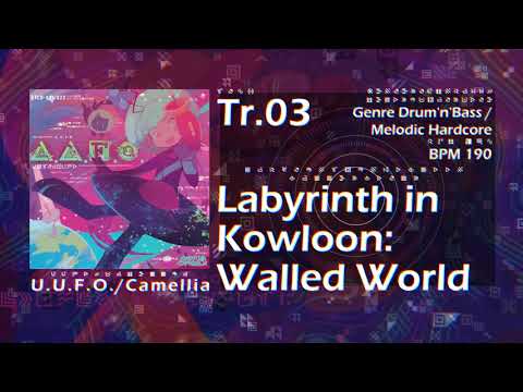 Video thumbnail for Labyrinth in Kowloon: Walled World