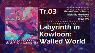 Cover art for Labyrinth in Kowloon: Walled World