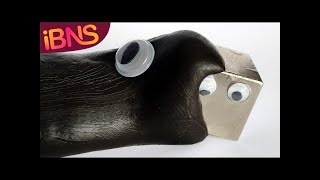 Fun with Monster Magnets (How to make magnetic slime)