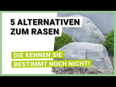 What alternatives are there to grass?