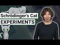 Understanding Quantum Mechanics: Schrödinger's Cat Experiments