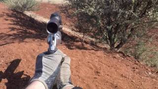 Shooting an ostrich with a revolver.